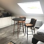 Rent 1 bedroom apartment of 30 m² in Braunschweig