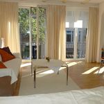 Rent 1 bedroom apartment of 35 m² in Dresden