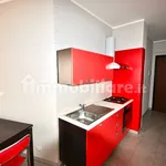 Rent 2 bedroom apartment of 50 m² in Novara