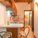 Rent 1 bedroom apartment of 35 m² in Pescia