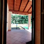 Rent 8 bedroom house of 160 m² in Altavilla Milicia