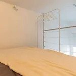 Rent 2 bedroom apartment of 90 m² in rome