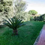 Rent 5 bedroom house of 150 m² in Capalbio