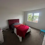 Rent 5 bedroom house in Auckland