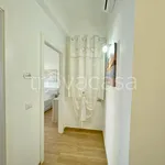 Rent 3 bedroom apartment of 100 m² in Brindisi