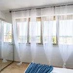 Rent 1 bedroom apartment of 40 m² in Livorno