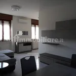 Rent 3 bedroom apartment of 90 m² in Lodi