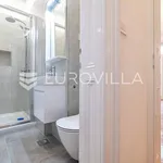 Rent 3 bedroom apartment of 130 m² in Zagreb