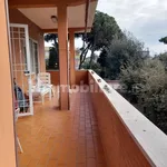 2-room flat corso San Francesco 168, Lavinio Mare, Anzio