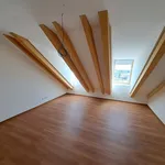 Rent 3 bedroom apartment of 115 m² in Brno