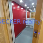 Rent 1 bedroom apartment of 1 m² in Hradec Králové