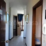 Rent 3 bedroom apartment of 55 m² in Comacchio