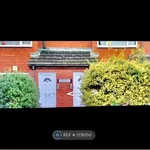 Rent 1 bedroom flat in Peterborough