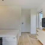 Huur 1 slaapkamer appartement in Antwerpen