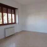 Rent 3 bedroom apartment of 90 m² in Ciampino