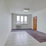 Rent 1 bedroom apartment in Plzeň