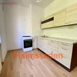 Rent 3 bedroom apartment of 51 m² in Ostrava