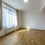 Pronajměte si 3 ložnic/e byt o rozloze 92 m² v Capital City of Prague