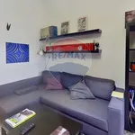 Rent 2 bedroom apartment of 55 m² in Torino