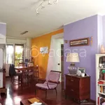 Rent 3 bedroom apartment of 95 m² in Milano