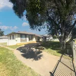 Rent 3 bedroom house in  West Tamworth NSW 2340                        