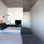 Rent a room of 100 m² in Lisbon