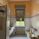 Rent 10 bedroom house of 450 m² in Codogno