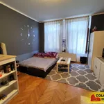 Rent 1 bedroom apartment of 25 m² in Židlochovice