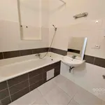 Pronajměte si 5 ložnic/e byt o rozloze 119 m² v Prague