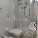 Rent 2 bedroom apartment of 54 m² in Bologna