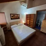 Rent 2 bedroom apartment of 46 m² in Bologna