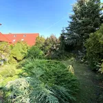 Rent 4 bedroom house of 140 m² in Szczecin