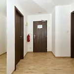 Rent 2 bedroom apartment of 68 m² in Brno