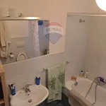 Rent 3 bedroom apartment of 85 m² in Bologna