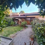 Rent 3 bedroom apartment of 100 m² in Somma Lombardo