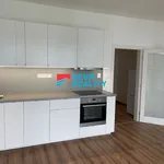 Rent 1 bedroom apartment of 31 m² in Frýdlant nad Ostravicí