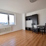 Rent 1 bedroom apartment in Brno