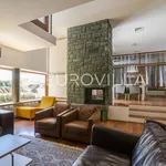 Rent 5 bedroom house of 550 m² in Zagreb