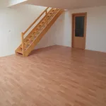 Rent 2 bedroom apartment of 50 m² in Brno