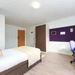 Rent 1 bedroom student apartment of 27 m² in Swansea