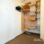 Rent 1 bedroom apartment in Praha 4