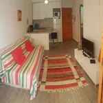 Alquilo 1 dormitorio apartamento de 45 m² en Elx / Elche