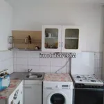 Rent 1 bedroom apartment in Iași