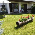 Rent 4 bedroom apartment of 110 m² in Ponte di Legno