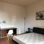 Rent 1 bedroom apartment in Siena