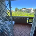 Rent 2 bedroom apartment of 50 m² in Nettuno