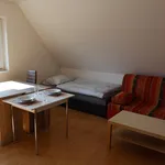 Rent 1 bedroom apartment of 144 m² in Brno