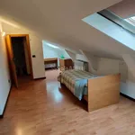 Rent 1 bedroom apartment of 35 m² in Pavia