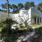 Rent 6 bedroom house of 120 m² in Castellaneta