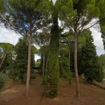 Rent 8 bedroom apartment of 350 m² in Firenze